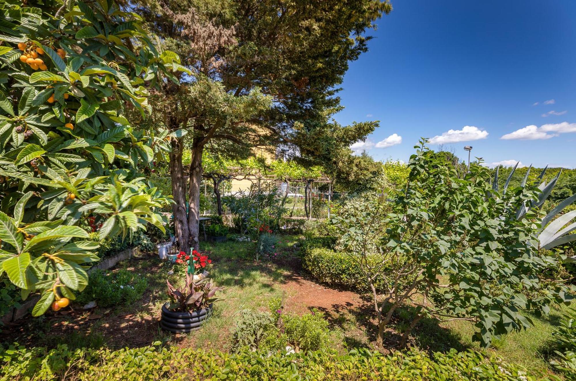 Apartment Milena Πούλα Εξωτερικό φωτογραφία